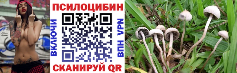 где купить наркоту  Орехово-Зуево  Псилоцибиновые грибы GOLDEN TEACHER 